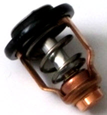 881429 THERMOSTAT