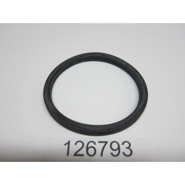 EV-126793  Seal (126793)