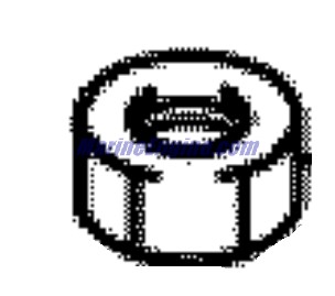 5030421 - Nut (EV-5030421)