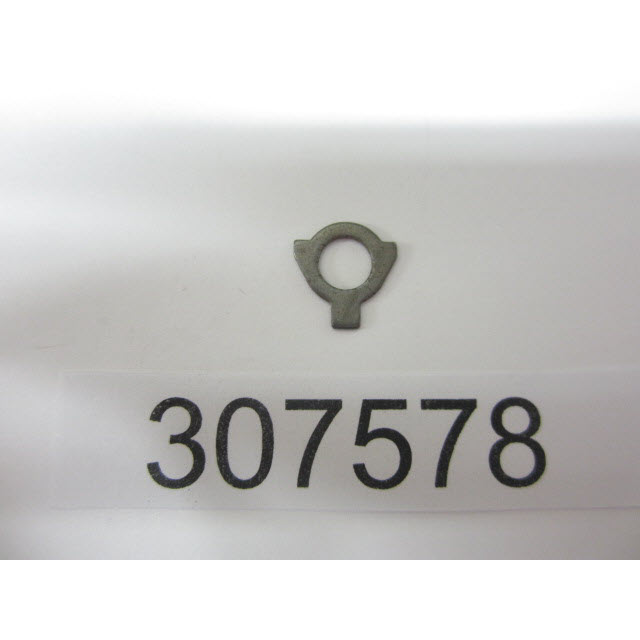 307578 - Lock Plate (EV-307578)