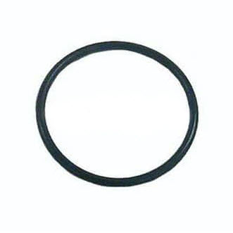 341620 - O-ring - Cylinder Head (EV-341620)