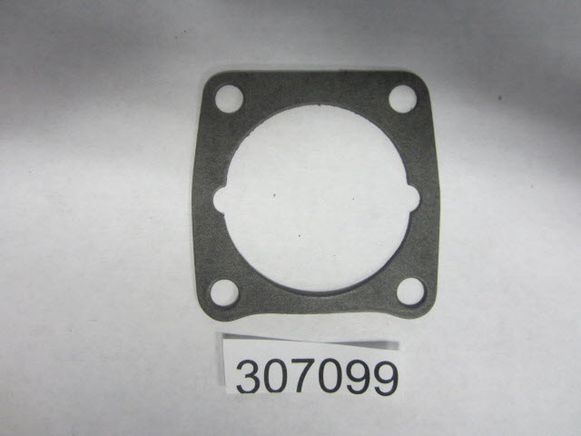 307099 - Gasket (EV-307099)