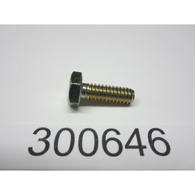 300646 - Screw (EV-300646)
