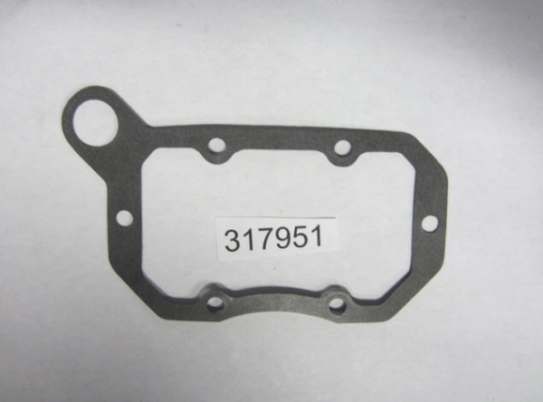 317951 - Water Passage Cover Gasket (EV-317951)