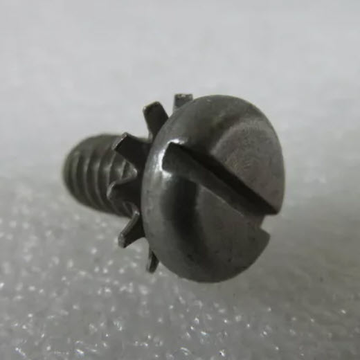 310379 - Screw (EV-310379)