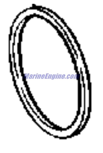 3852879 RING,SHIM-.122, NLA (EV-3852879)