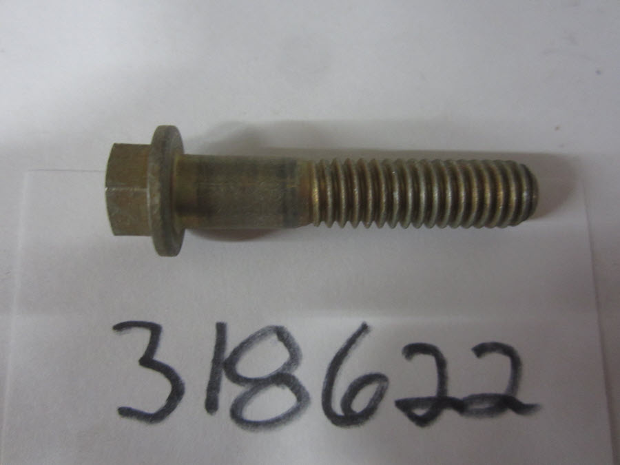 318622 - Screw, Cyl, To Crankcase, NLA (EV-318622)