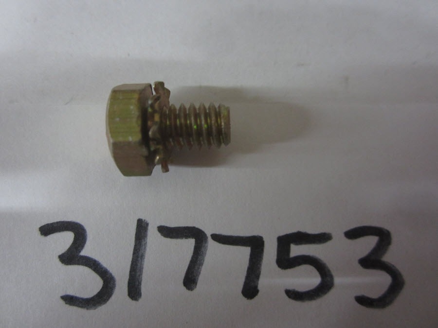 317753 - Screw (EV-317753)