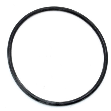 308621 - Retainer to Housing O-Ring (EV-308621)