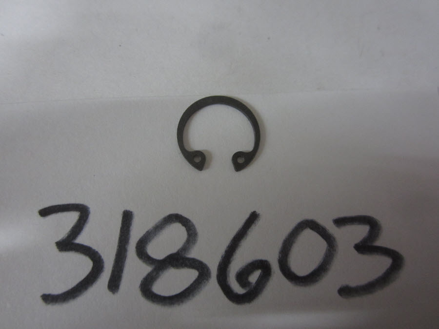 318603 - Retaining Ring (EV-318603)