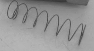 314739 - Plunger Spring (EV-314739)