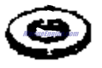 313133 - Washer (EV-313133)