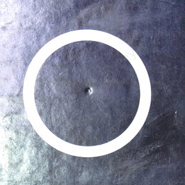 911665 - Shim -.010 (EV-911665)