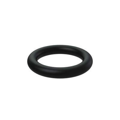 976106 - O-Ring
