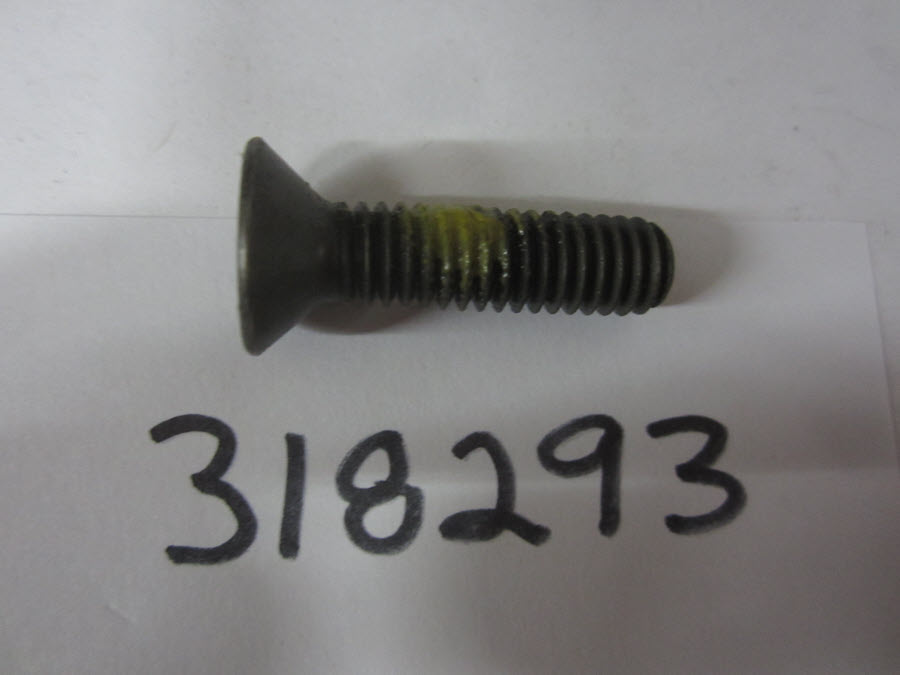 318293 - Screw (EV-318293)