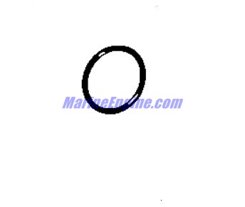 348107 - O-Ring (EV-348107)