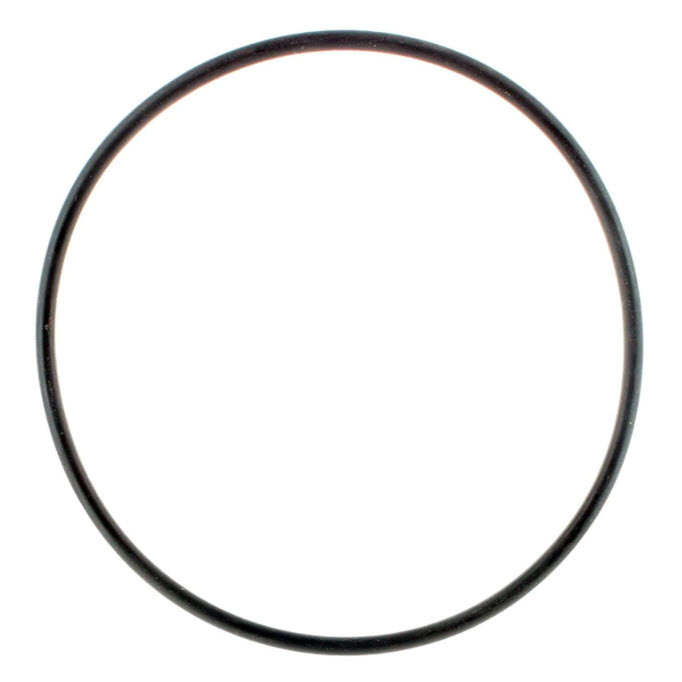 321163 - O-ring - Pump Motor (EV-321163)