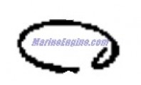 340493 - Retaining Ring (EV-340493)