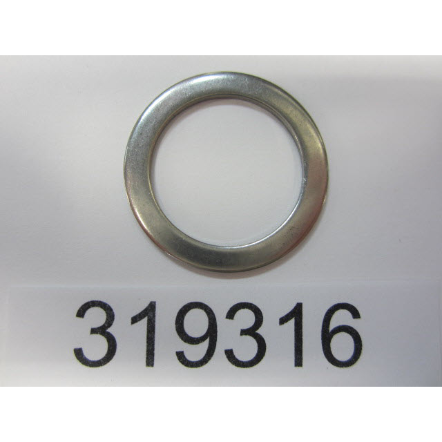 319316 - Washer (EV-319316)