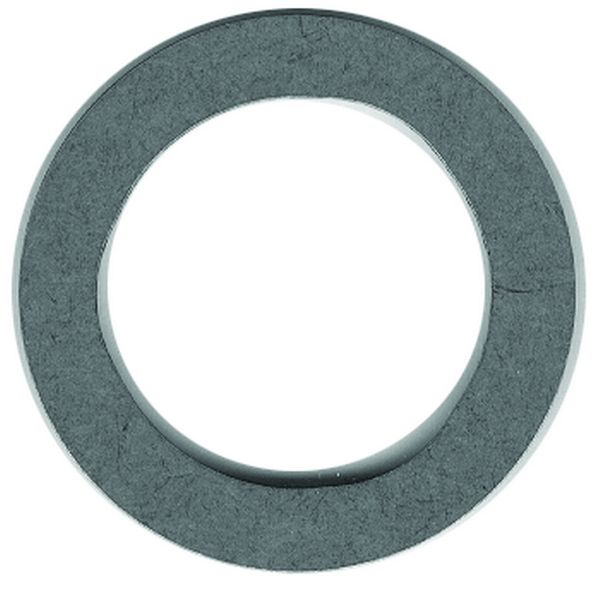 314731 - Thrust Washer (EV-314731)