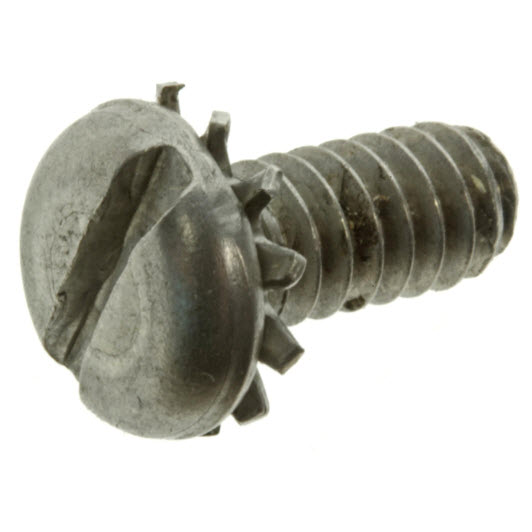 303737 - Lead Assembly Screw (EV-303737)