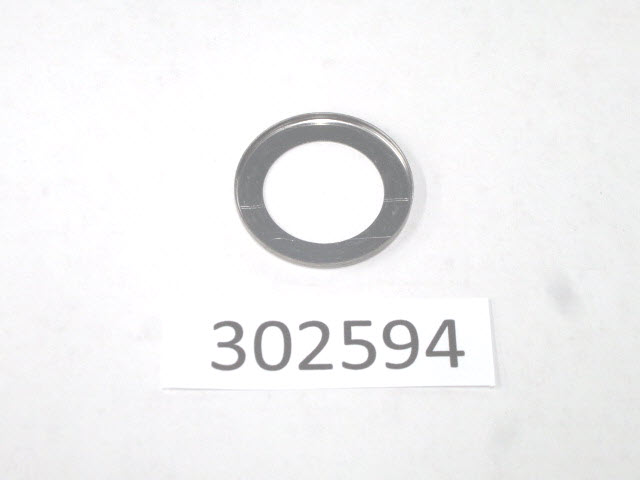 302594 - Retaining Washer (EV-302594)