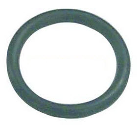 302540 - O-Ring (EV-302540)