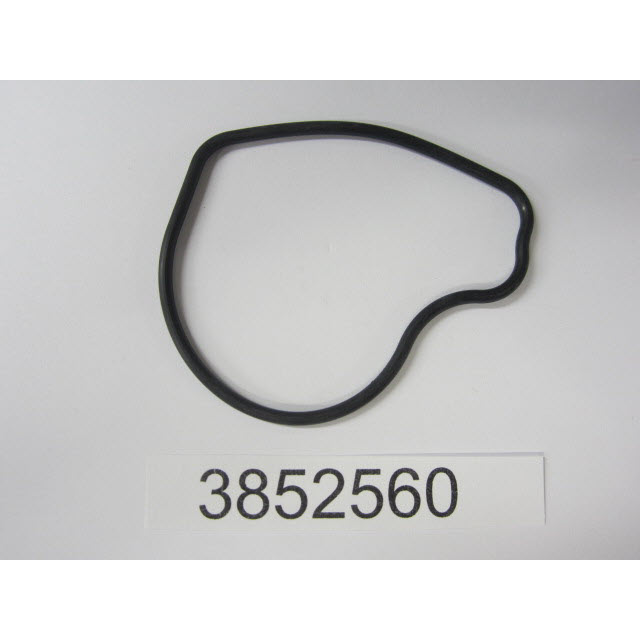 3852560 - Seal, Water Passage