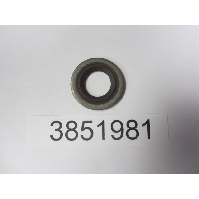 Evinrude Johnson OMC OMC3851981 3851981