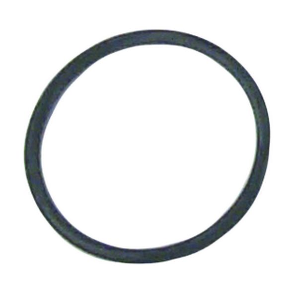 308626 - O-Ring (EV-308626)
