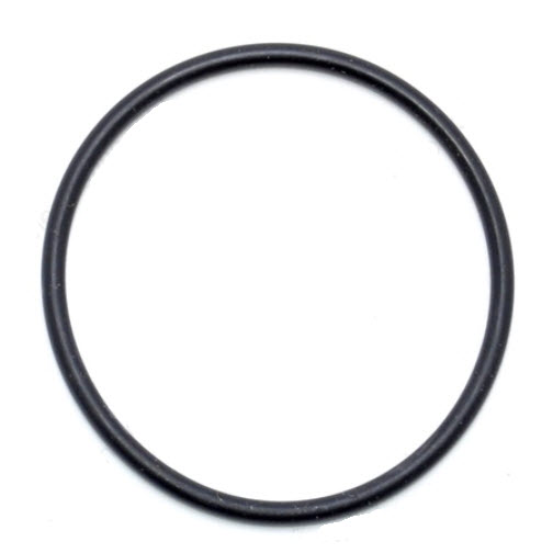 313754 - 0-ring - Bearing Housing (EV-313754)
