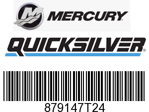 879147T24 INGRESS CAP-PAINT