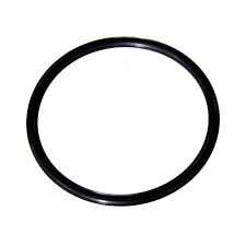 95288 - O-ring, Water Pump (25-95288)