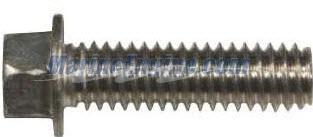 123018 - Screw (EV-123018)