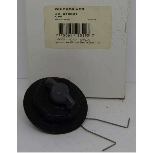 91663T - Cap (36-91663T)
