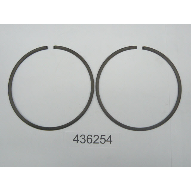 436254 - Piston Ring Set, Standard (EV-436254)