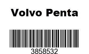 3858532 - COVER