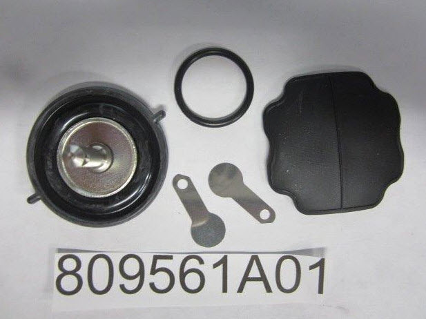 809561A01 - Diaphragm Kit