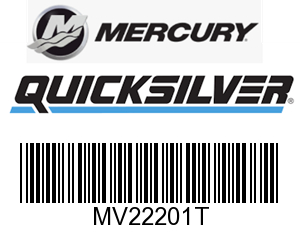 MV22201T - Seal - Priced Individually