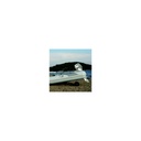 Wheel Launching Wheel 10  S/S | Weaver - 1