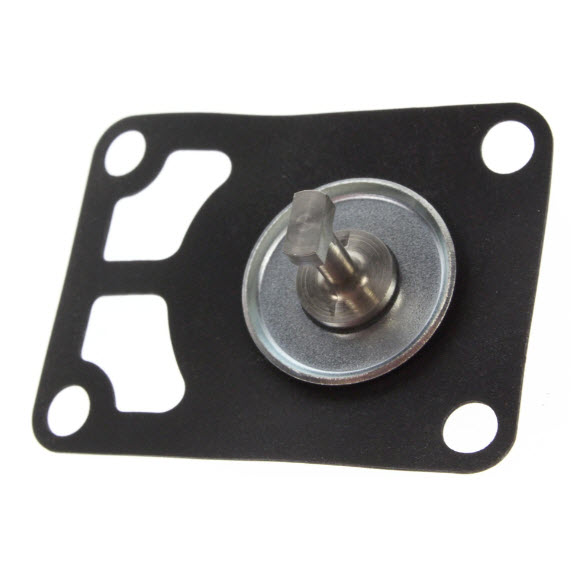 853731003 - Diaphragm 