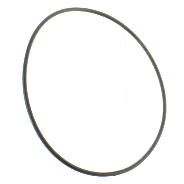 53421 - O-Ring - Priced Individually (25-53421)