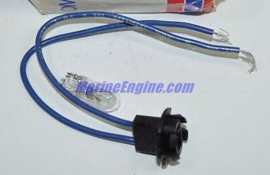 172951 - Instrument Light (EV-172951)
