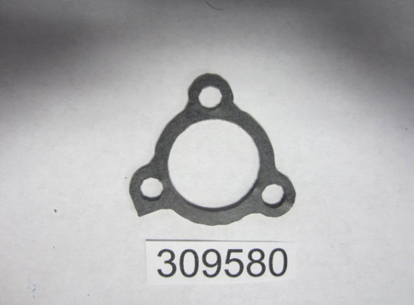 309580 - Thermostat Housing Gasket (EV-309580)