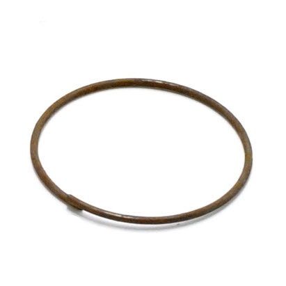 314295 - Retainer (EV-314295)