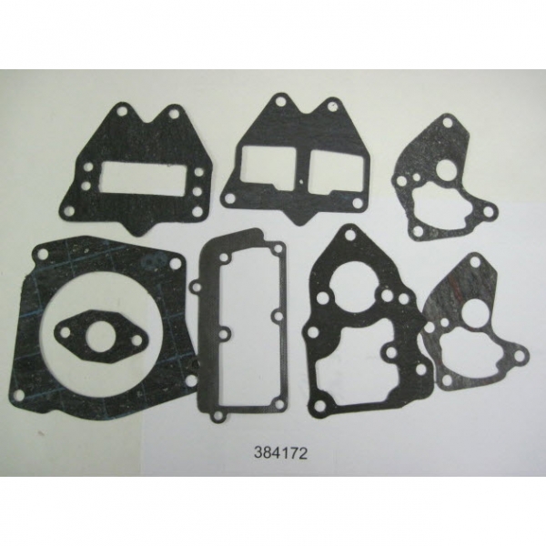 384172 - Powerhead Gasket Set, Less Head Gasket (EV-384172)
