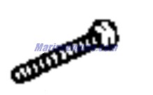 446245 - Screw, M5X0.8X55 (EV-446245)