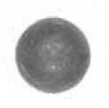 304201 - Lead Shot (EV-304201)