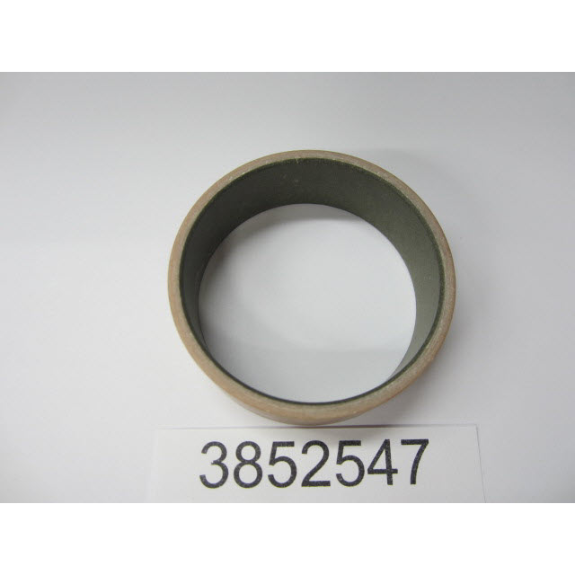 3852547 - Steering Bearing (EV-3852547)