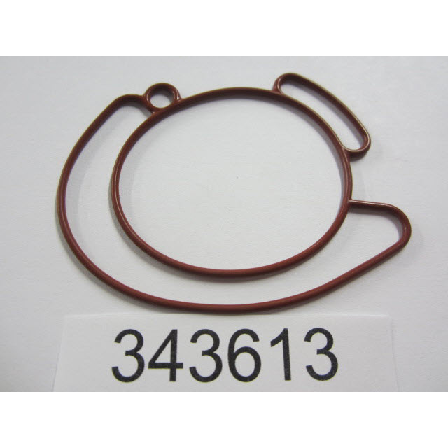 343613 - Seal (EV-343613)